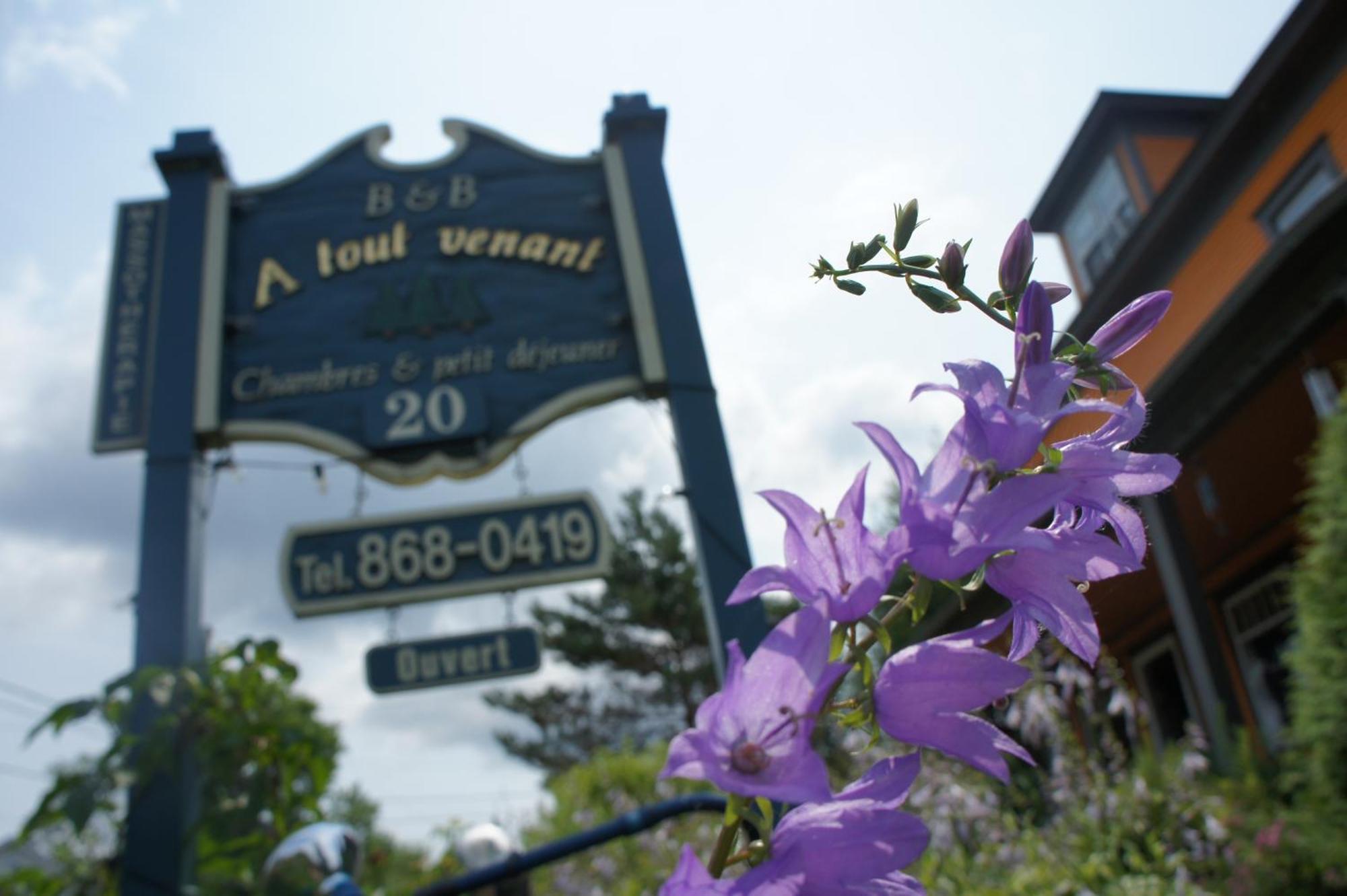 A Tout Venant B&B Magog Exterior foto